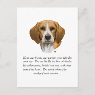 Beagle Keepake MALE Postkarte