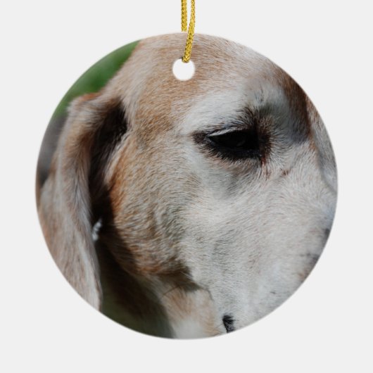 Beagle Keramikornament (Vorne)