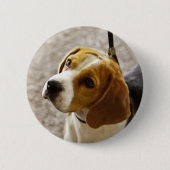 Beagle-Knopf Button (Vorderseite)