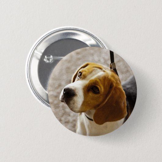 Beagle-Knopf Button (Vorne & Hinten)