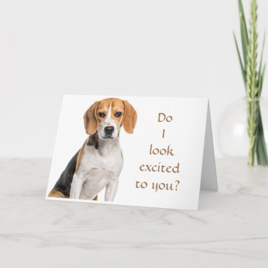 BEAGLE KÖNNEN NICHT GLAUBEN, WIE "JUNG" SIE AUSSEH KARTE (Vorderseite)