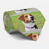 Beagle Krawatte (Gerollt)