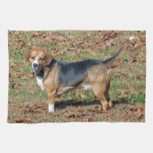 Beagle Küchentuch (Horizontal)