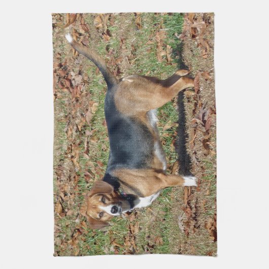 Beagle Küchentuch (Vertikal)