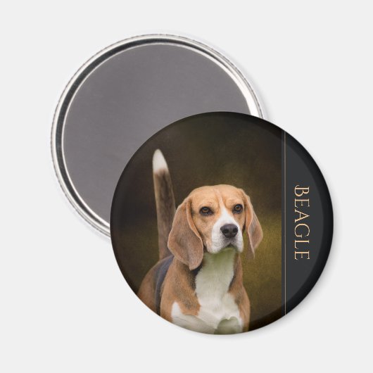 Beagle Kühlschrankmagnet (Vorderseite/Rückseite)