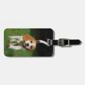 Beagle Legen Sie Ihr eigenes Foto ein Gepäckanhänger (Vorderseite horizontal)