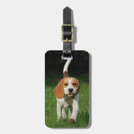 Beagle Legen Sie Ihr eigenes Foto ein Gepäckanhänger