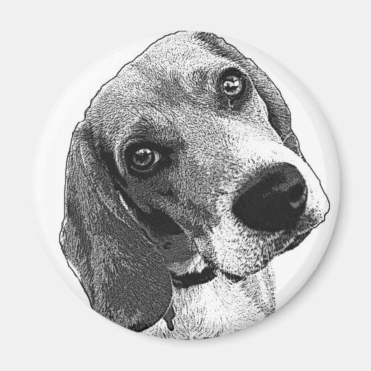 Beagle Liebe Magnet (Vorne)