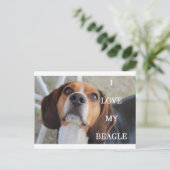Beagle Liebe w pinsenrot Postkarte (Stehend Vorderseite)