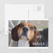 Beagle Liebe w pinsenrot Postkarte (Vorne/Hinten)