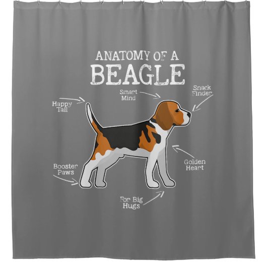 Beagle liebt/Anatomie eines Beagle Duschvorhang (Vorderseite)