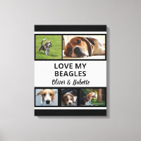 Beagle liebt individuelle Welpen- und Hundefotocol