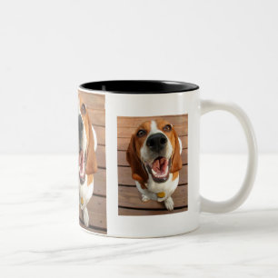 Beagle liebt Tasse