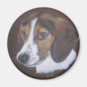 Beagle Magnet