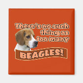 BEAGLE MAGNET (Vorne)