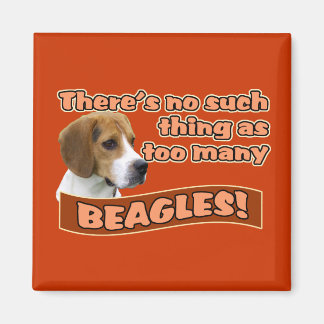BEAGLE MAGNET