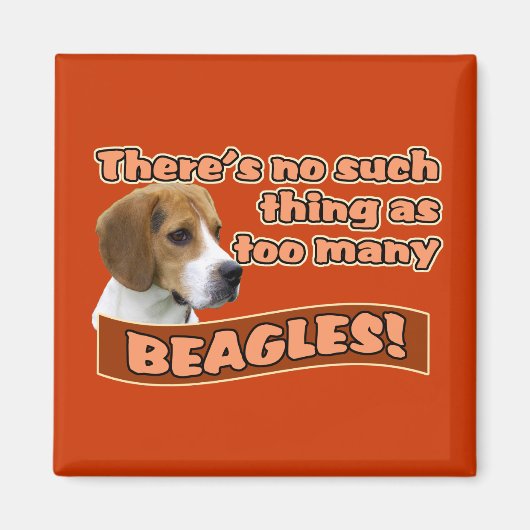 BEAGLE MAGNET (Vorne)