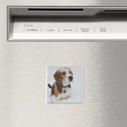 Beagle Magnet (In Situ (Geschirrspüler))