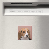 Beagle Magnet (In Situ (Geschirrspüler))