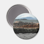 Beagle Magnet (Vorderseite/Rückseite)