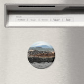 Beagle Magnet (In Situ (Geschirrspüler))