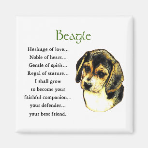 Beagle Magnet