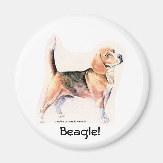 Beagle Magnet (Vorne)