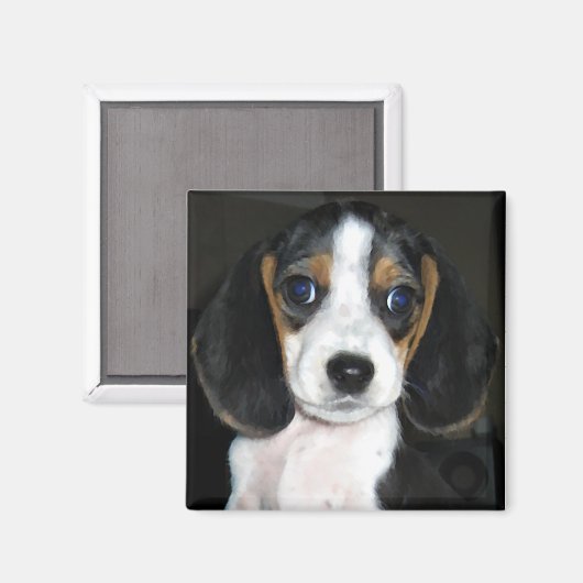 Beagle Magnet 2 (Vorderseite/Rückseite)