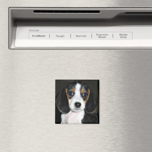 Beagle Magnet 2 (In Situ (Geschirrspüler))