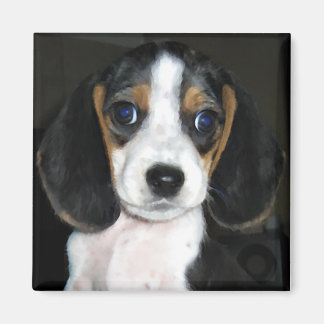 Beagle Magnet 2