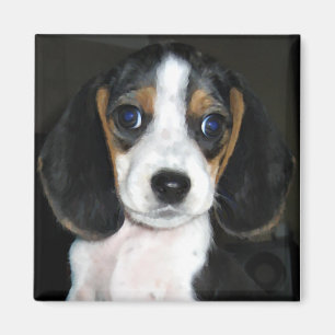 Beagle-Magnet 2 Magnet