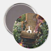 Beagle Magnet im Garten (Vorderseite/Rückseite)