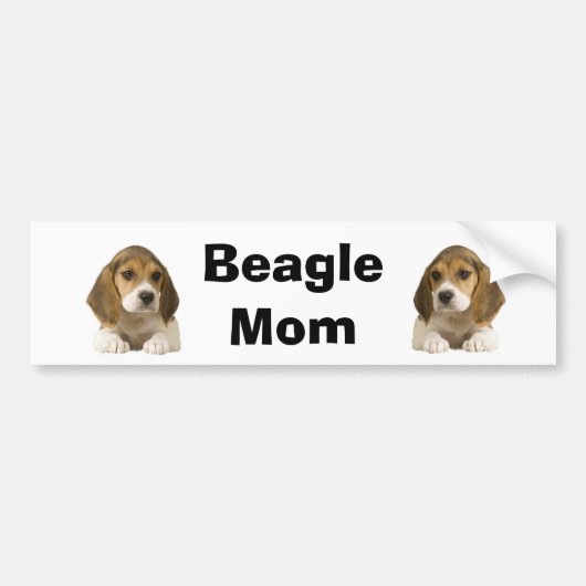 Beagle-Mama-Autoaufkleber Autoaufkleber (Vorne)