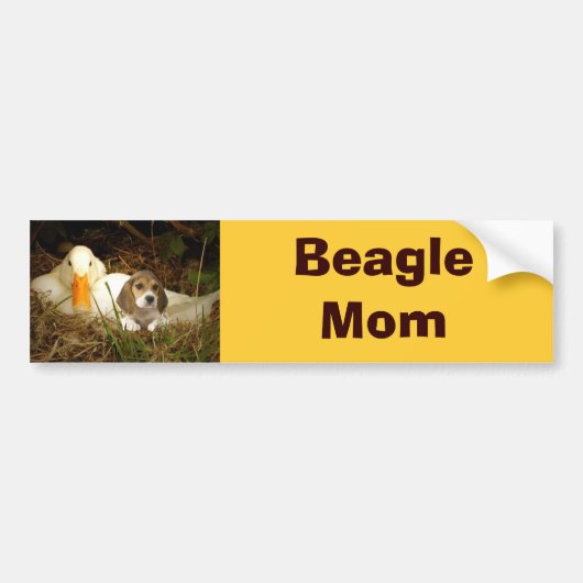 Beagle-Mama-Autoaufkleber Autoaufkleber (Vorne)