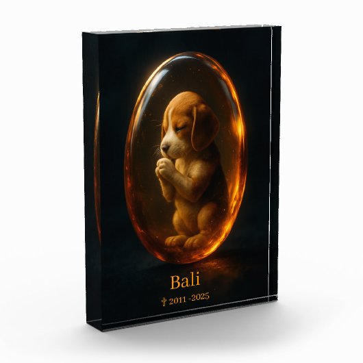 Beagle Memorial Fotoblock (Links)