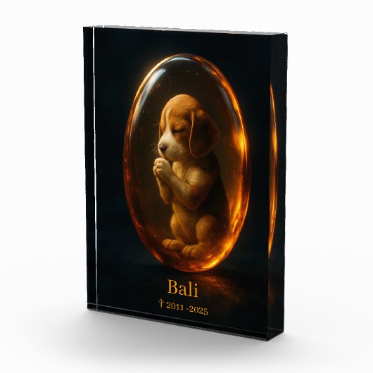 Beagle Memorial Fotoblock (Rechts)