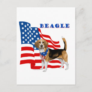 Beagle mit amerikanischer Flagge Postkarte