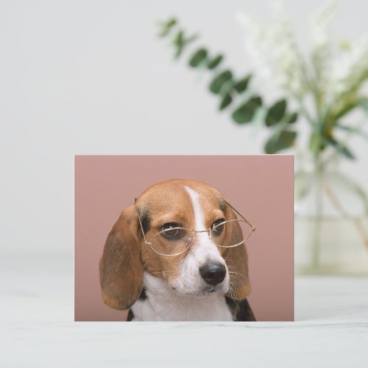Beagle mit Brille Postkarte (Stehend Vorderseite)