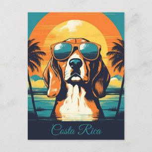 Beagle mit Sonnenbrille an einem tropischen Strand Postkarte