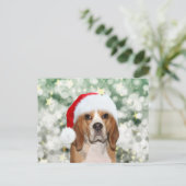 Beagle mit Weihnachtsmannmütze Weihnachten Postkarte (Stehend Vorderseite)