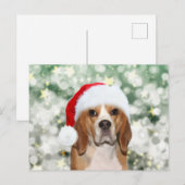 Beagle mit Weihnachtsmannmütze Weihnachten Postkarte (Vorne/Hinten)