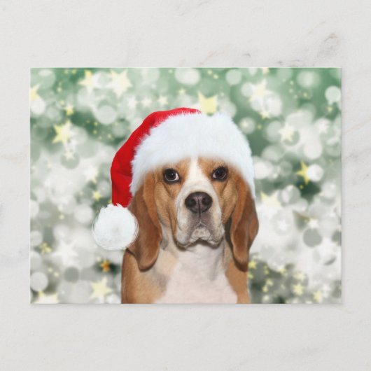 Beagle mit Weihnachtsmannmütze Weihnachten Postkarte (Vorderseite)