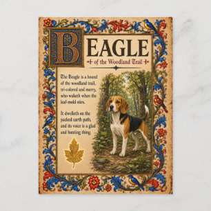 Beagle, mittelalterliche Bestiarien-Kunst Postkarte