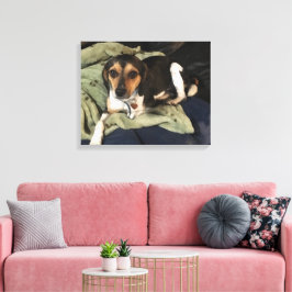 Beagle Mix Dog Digitale Kunst Leinwanddruck