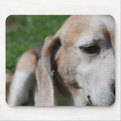 Beagle Mousepad (Vorne)