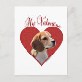 Beagle My Valentine Feiertagspostkarte (Vorderseite)