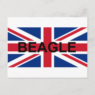 Beagle Name england United_Kingdom flagge Postkarte