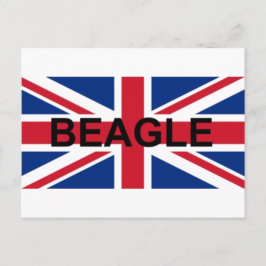 Beagle Name england United_Kingdom flagge Postkarte (Vorderseite)