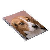 Beagle Notizblock (Rechte Seite)