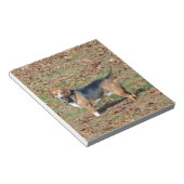 Beagle Notizblock (angewinkelt)